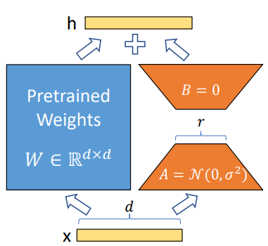 LoRA Architecture